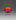 Light Speed Small Cap